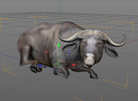 C4D模型非洲大水牛