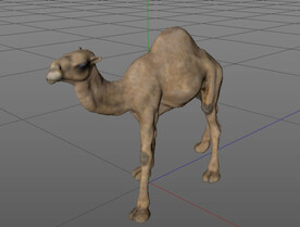 C4D模型骆驼