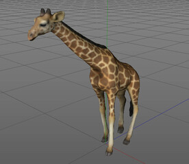 C4D模型长颈鹿