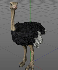 C4D模型鸵鸟