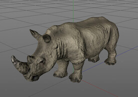 C4D模型犀牛