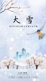 大雪地产海报