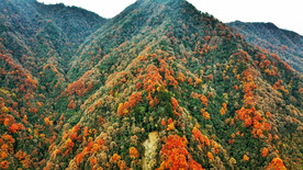 巴中光雾山风光