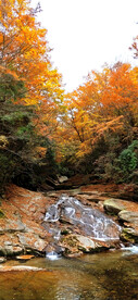 巴中光雾山风光