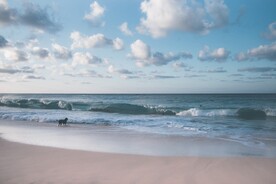海滩