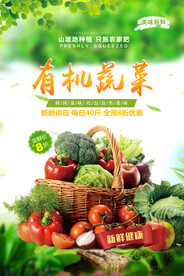 小清新有机蔬菜海报