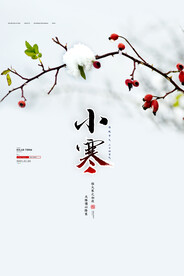 小寒海报