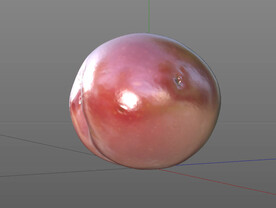 C4D模型 芒果  