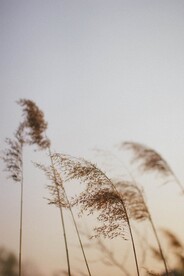 唯美风景