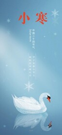 小寒天鹅