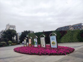 城市绿化