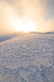 雪景