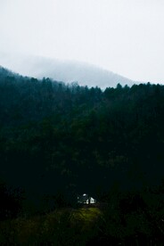 树林天空