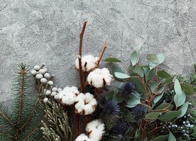 棉花