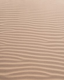 沙漠