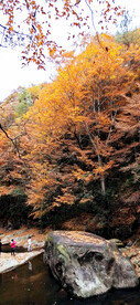 巴中光雾山风光