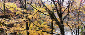 巴中光雾山风光