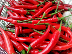 辣椒