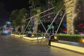 实拍树灯串