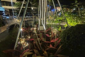 萤火虫灯实拍