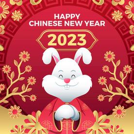 兔年海报图片