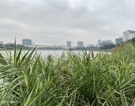 江景