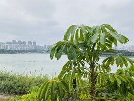 江景