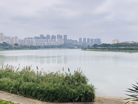 江边风景