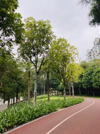 绿茵小道