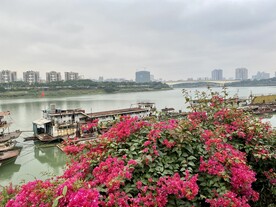江边风景