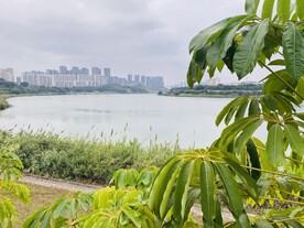 江边风景