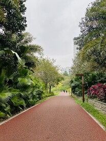 绿茵跑道