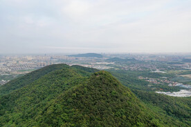 众山小