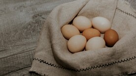鸡蛋             