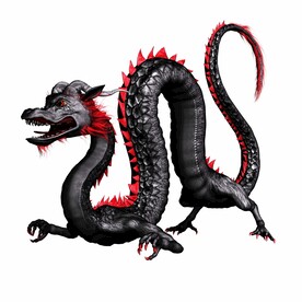 龙