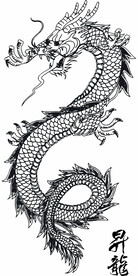 龙
