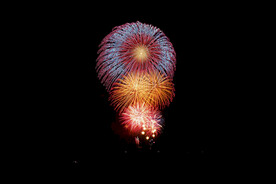 节日烟花透明PNG素材