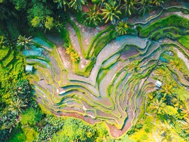 俯视梯田风景