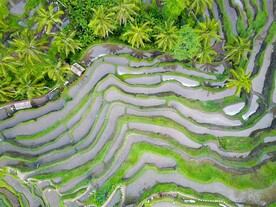 俯视梯田摄影