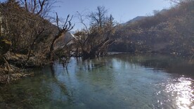 水池