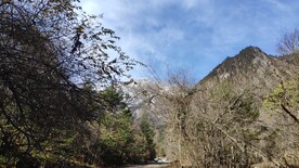 通往雪山