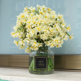 复瓣水仙花鲜切花窗台绿植水培