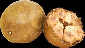 罗汉果PNG免扣素材