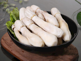 菌菇