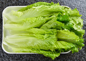 生菜