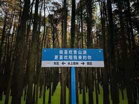 青山湖