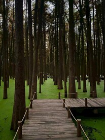 青山湖