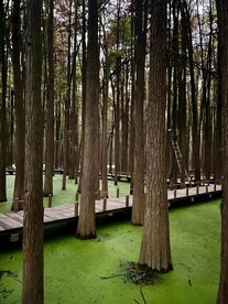 青山湖