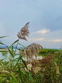 青山湖