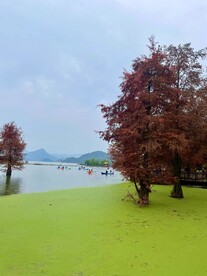 青山湖